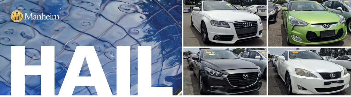 hail-damaged-cars-for-auction-manheim-australia